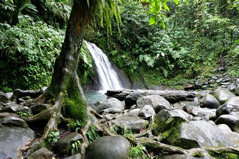 See full list on nps.gov The Scoop on Guadeloupe - What to See and Do | Travel ...