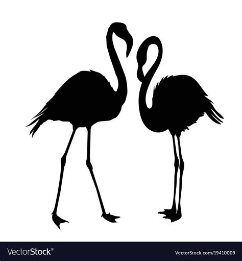 Flamingo Silhouette Royalty Free Vector Image Vectorstock Flamingo