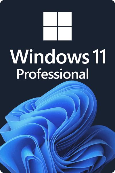 Microsoft Windows 11 Professional Los Angeles Software
