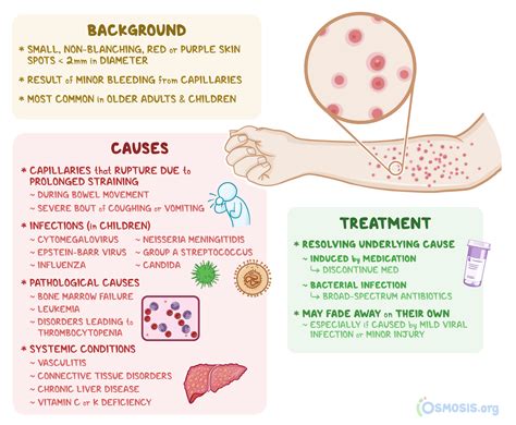 Petechiae What Is It Causes Treatment And More Osmosis