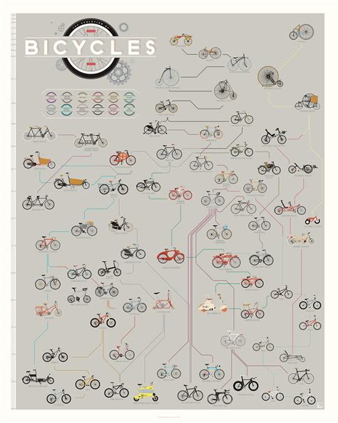 Buy Pop Chart Prints 16x20 Bicycle Infographic Printed On