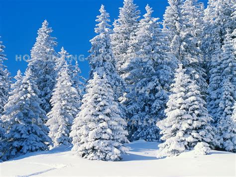 Winter Swiss Alps Landscape Sky Ski Snow