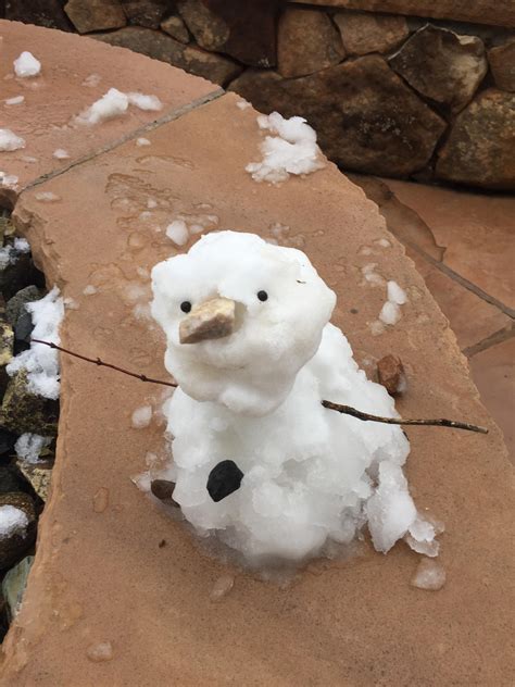 New Mexican Snowman Ralbuquerque