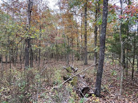 Arkansas Land For Sale Hunting Land Recreational Property Timberland