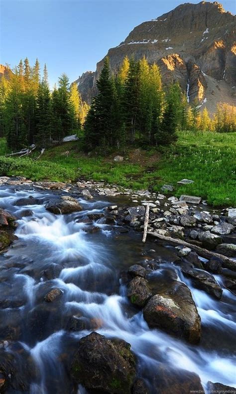 Mountain Stream Beautiful Scenery Wallpapers Hd Download Desktop Background