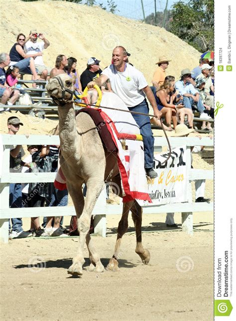 We attended the quirky event last year, and it's taking place again this weekend for the 54th time. International Camel Races In Virginia City, NV, US ...