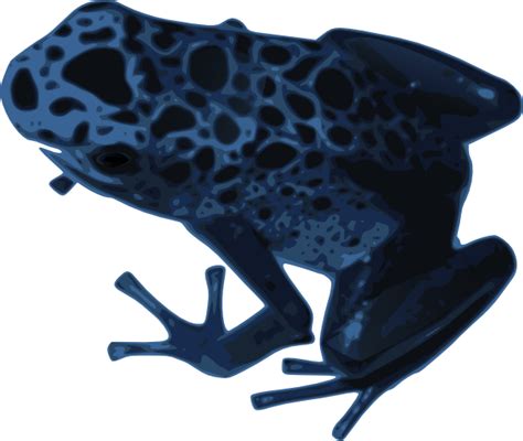 Blue Frog Clip Art At Vector Clip Art Online Royalty Free