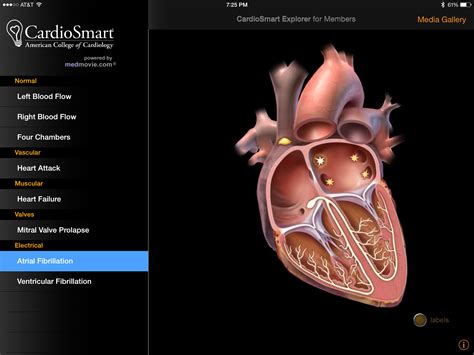 Following is the list of top cardiologists in chennai city. Top 10 Cardiology apps for Cardiologists and Internists