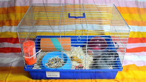 Care Small Hamster Cages And Why Theyre Bad Youtube