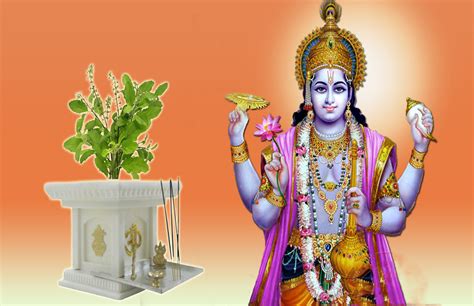 Tulsi Lord Vishnu Significance Story Hari Prabodhini Ekadashi जानिये