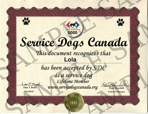 Fake Service Dog Certificate Ubicaciondepersonascdmxgobmx