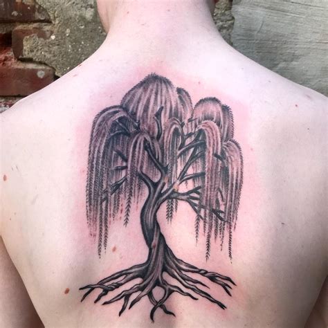 41 Wild Weeping Willow Tattoo Ideas 2023 Inspiration Guide