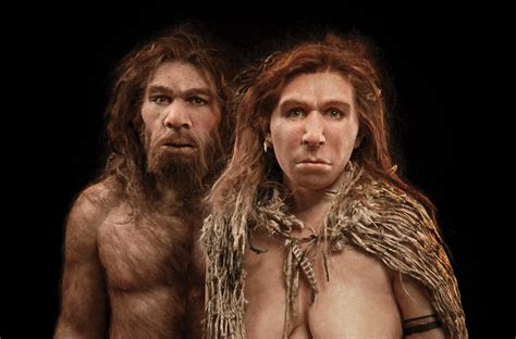 Neanderthal The Scientist India New England News