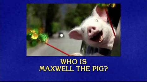 What commercial car insurance does geico offer? Geico Car Insurance - Jeopardy!: Pig Ad Commercial on TV 2018 | Geico car insurance, Car ...