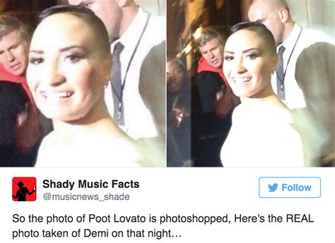 Professional Photographers Reveal How Poot Lovato Picture Happened