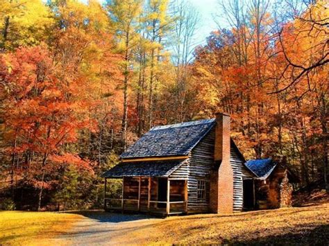 Log Cabin With Beautiful Autumn Trees Cabins In The