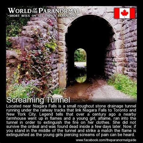 Scared Sheetless The Paranormal Guide Presents World Of The