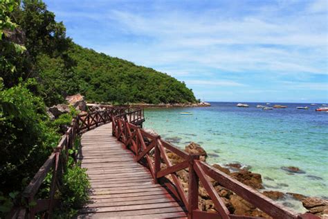 Explore The Tropical Beaches Of The Coral Island Thailand