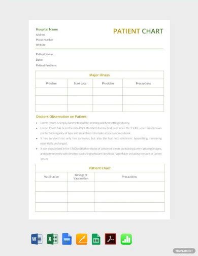 15 Patient Chart Templates Doc Pdf Excel
