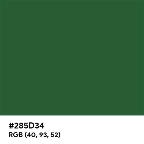 Matte Dark Green Color Hex Code Is 285d34