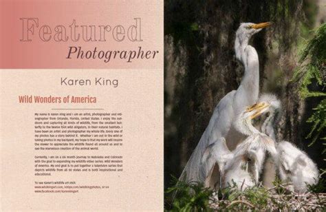 Nature Photography Magazine Issue 1 Download