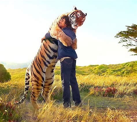 Tiger Hug Human Funny Hd Wallpaper Peakpx