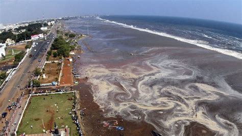 The 2004 tsunami, referred to as the 2004 indian ocean tsunami, the 2004 indonesian tsunami, or the 2004 boxing day tsunami, was one of the worst natural disasters in recorded history. "Alsof een slager je levende hart in stukjes hakt" | De Morgen
