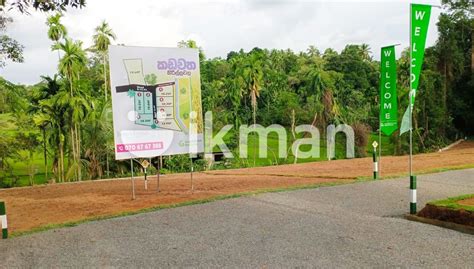 Paddy Field Facing Land For Sale Kadawatha Ikman