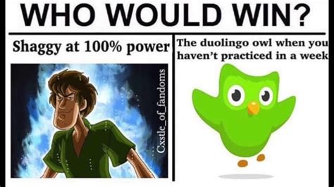 10 Hilarious Duolingo Memes That Give Vengeance A New Name Photos