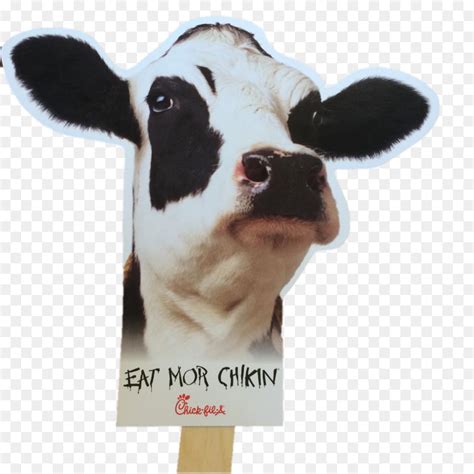 Chick Fil A Cow Clip Art 20 Free Cliparts Download Images On
