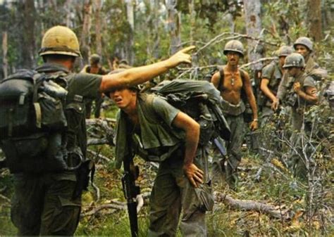 Vietnam Infantry Humping Hill Between The ‘screaming Eagles Of The