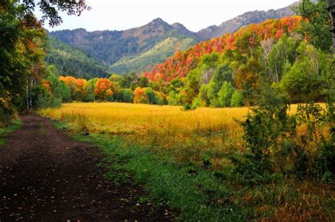 The Fall Foliage At These 21 Places In Utah Is Stunningly Beautiful