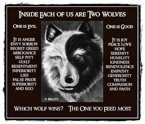 Wolf2 720×618 Which Wolf Wins The One You Feed The