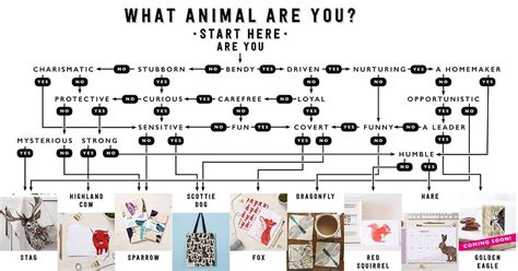 What Animal Are You? Quiz | Cherith Harrison Gifts and Homeware