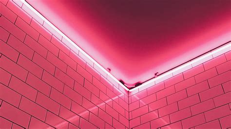 Wallpaper Wall Light Pink Neon