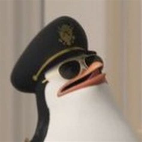 Create Meme The Penguins Of Madagascar Kowalski Skipper The Penguins