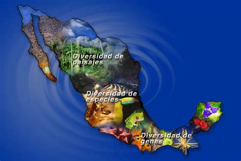 Megadiversidad De Mexico
