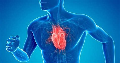 The 10 Most Common Cardiovascular Diseases 【 2023