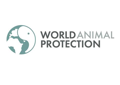 World Animal Protection Branding On Behance
