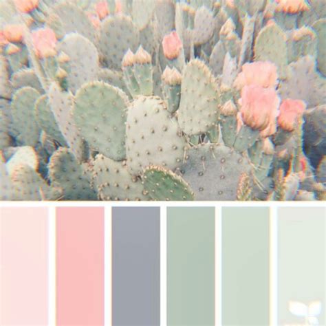 Pin by nurmi's on soft aesthetic | Colour schemes, Color schemes, Pastel colour palette