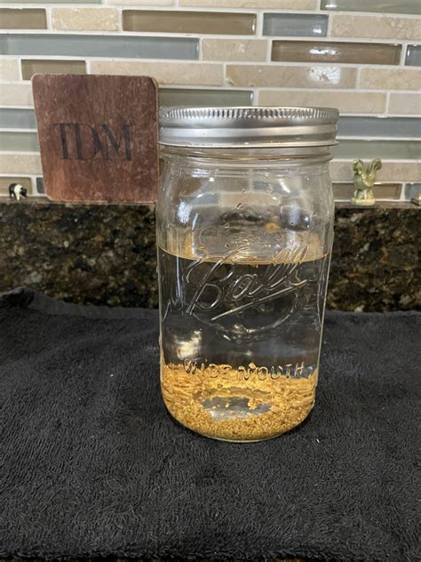 Growing Sprouts In A Jar Halfway To Homesteading
