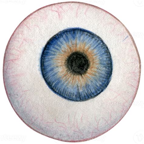 Watercolor Hand Drawn Eye Ball 21629906 Png