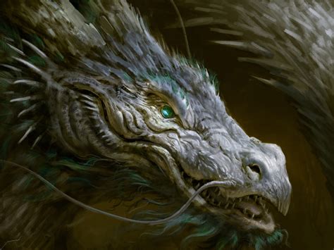 Chinese Dragon By Antonio J Manzanedo