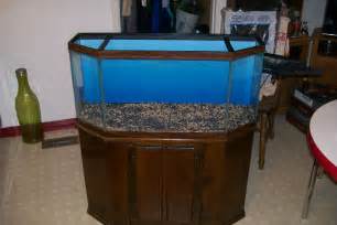 Fish Tank Related Keywords & Suggestions 45 Gallon Hexagon Fish Tank 