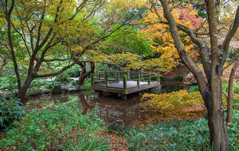 In the spring, the san francisco botanical gardens come to life. Who says San Francisco has no seasons? Don't miss the fall ...