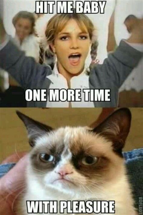 Grumpy Cat Funny Grumpy Cat Memes Funny Cat Memes