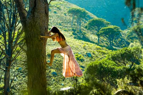 Woman Climbing A Tree In A Forest With Trees In The Background Stock