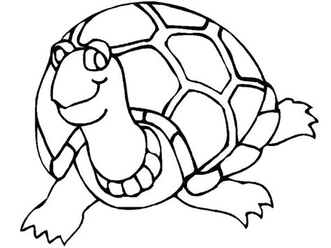 Turtle Shell Pattern Coloring Page Sketch Coloring Page