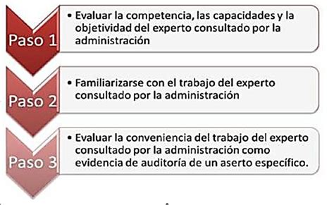 Evidencia De Auditoria