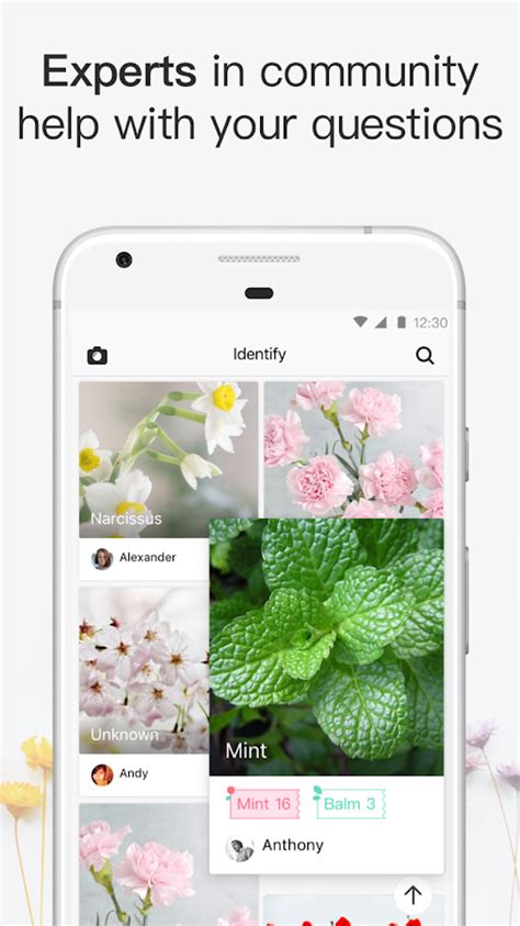 Plant.id can identify almost 11,000 plant taxons, including flowers, trees, bushes, fungi, and lichens from all over the world. PictureThis - Plant Identification - Android Apps on ...
